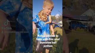 Kiddo wanted to help with this one, bumblebee ball python. Net Worth