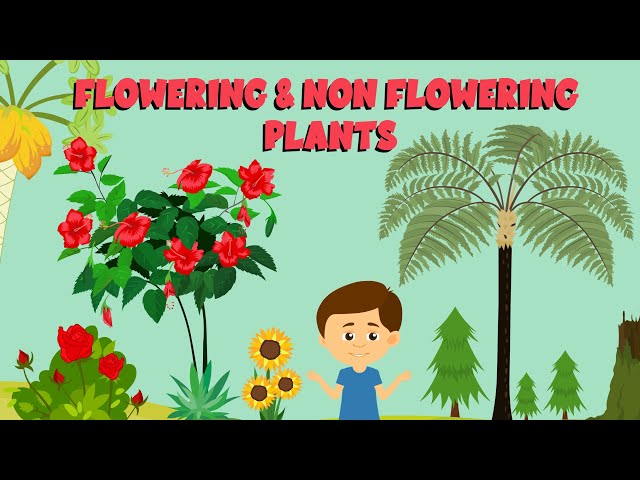 Flowering And Non Plants