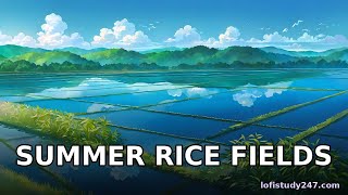 If I could live here 🍃 Summer rice fields #shorts
