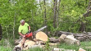 Most badass chainsaw you can buy! Echo 1201