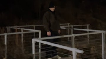 Assignment 6 Film 2900 GSU