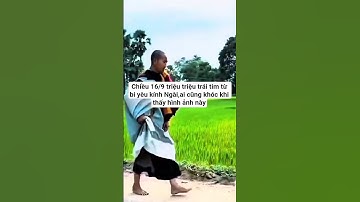 chiều 16/9 triệu triệu trái tim từ bi yêu kính Ngài,ai cũng khóc#suminhtue #shortvideo