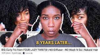 I Followed My Own Natural Hair Tutorial From 8 Years Ago screenshot 2