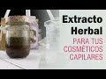 Extracto herbal anticaspa para cabello graso