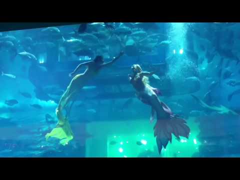 Mermaid show-Dubai Mall Aquarium