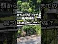 唯一のコンビニ最寄り駅?越前薬師駅、コンビニを探せ! - JR九頭竜線こと、越美北線 途中下車の旅