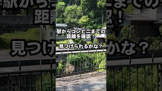 唯一のコンビニ最寄り駅?越前薬師駅、コンビニを探せ! - JR九頭竜線こと、越美北線 途中下車の旅