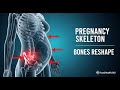 Pregnancy Skeleton Changes in 3D: How Your Bones Reshape (Spine, Pelvis, Ribs) | Medical Animation