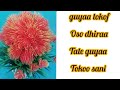 Guyaa Tokof Oso Dhiraa Ta E Jalaqaba Guya Toko Sani Kesat Malii Gochuu Fetaa 