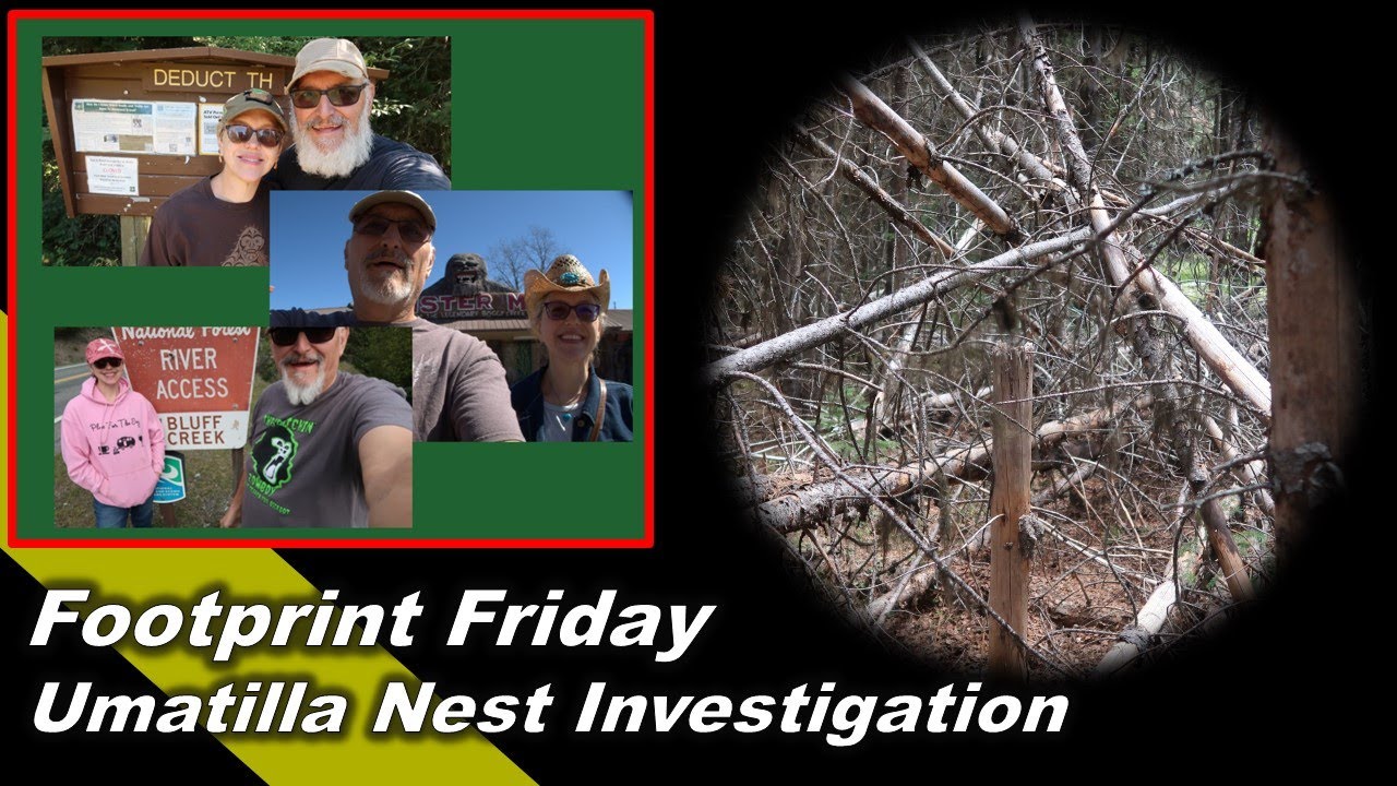 Nest Investigation Umatilla National Forest