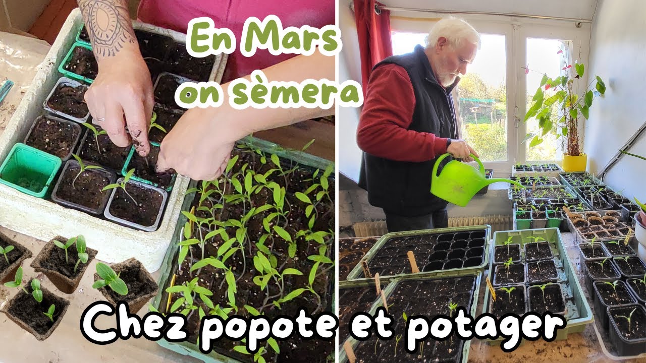 COMMENT REPIQUER SES PLANTS POUR AVOIR DE BEAUX LÉGUMES ?