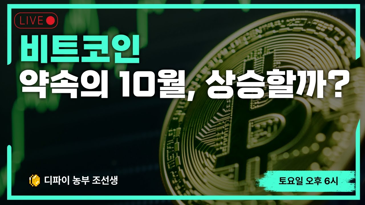 [돈이 보인다] 약속의 10월, 코인 상승할까?