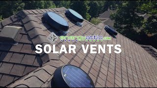 Solar Vent Services