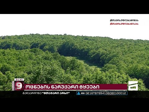 ოლიგარქი ფრინველებმა გაიტაცა | ჭორვილაში, ივანიშვილის ცოლისთვის ტყის შემოსაღობად ემზადებიან