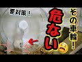 【危険！】車輪選びでハムスターの寿命が変わります