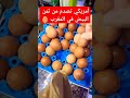 الأمريكيين وجاهم البيض غالي اكسبلور المغرب قطط شورت Trending تيك توك دويتو