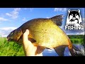 Russian Fishing 4 - ДОБИТЬ УРОВЕНЬ (СТРИМ) #8