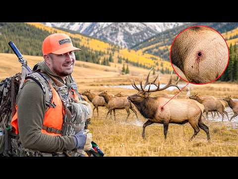 Colorado Elk Hunt I’ll Never Forget!