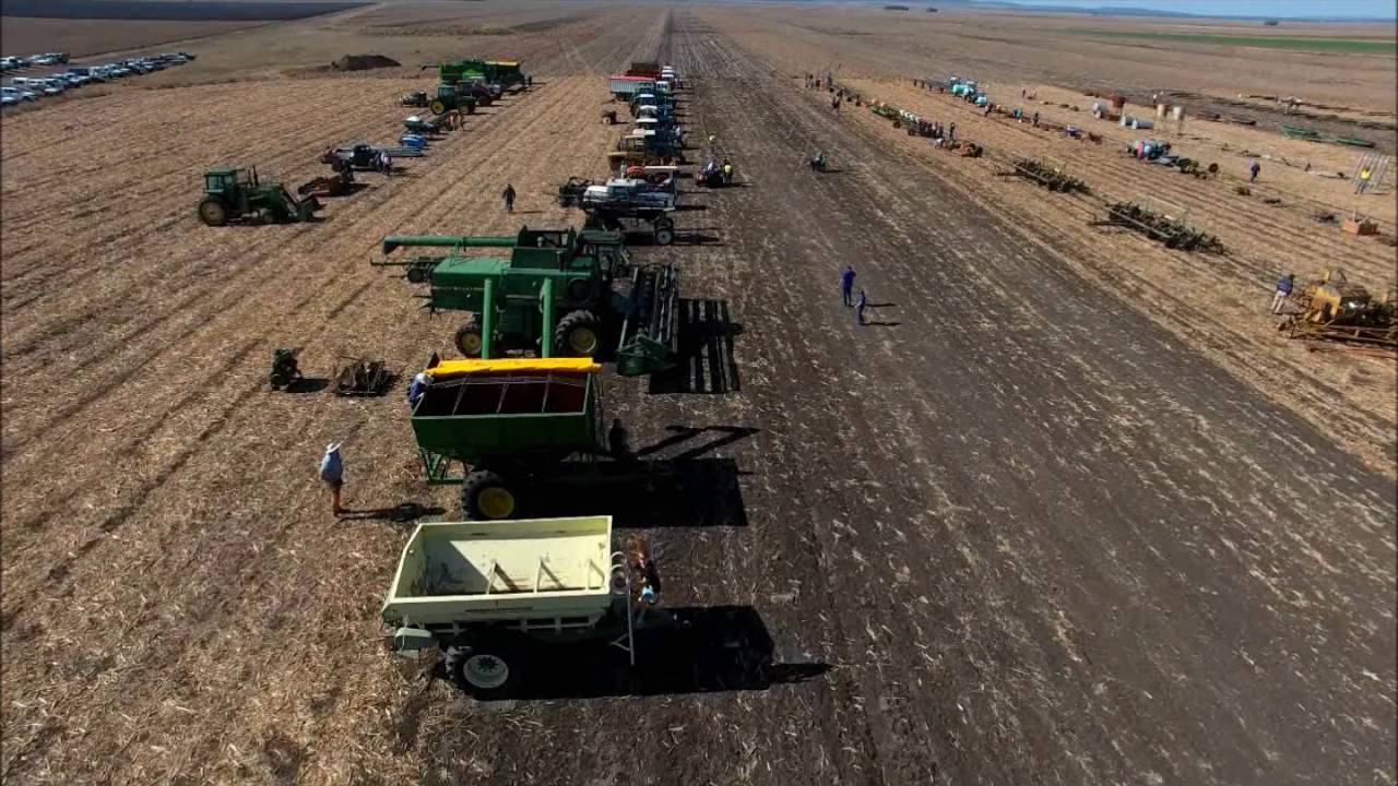 Ray White Rural Pittsworth Clearing Sales YouTube