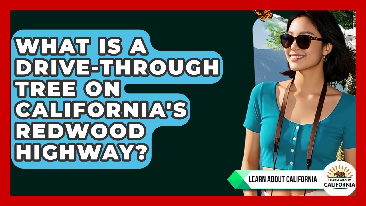 What Is A Drive-through Tree On California's Redwood Highway? - Learn About California