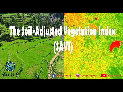 The Soil-Adjusted Vegetation Index (SAVI) || Deteksi Tingkat Vegetasi || Landsat 8 OLI TRS/ArcGIS