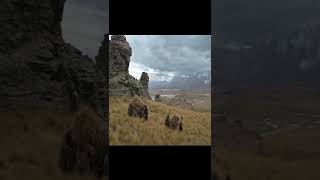 Rings Of Powerda Yüzüklerin Efendisi Göndermesi