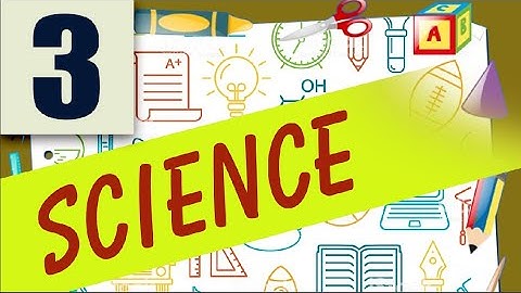 class 3 science revision 24 2 2021