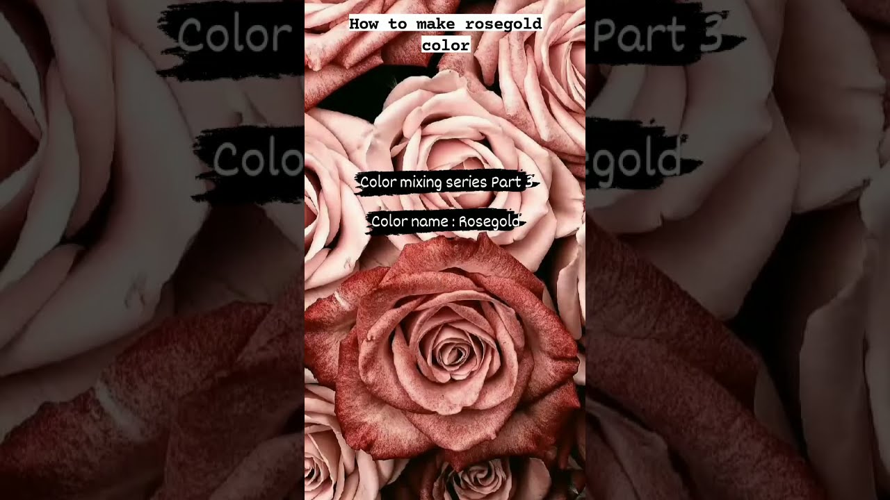 How to make rosegold color?    