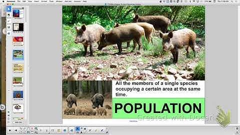 APBio Ch. 16: How Populations Evolve, Part 1 ~ Hardy-Weinberg Problems