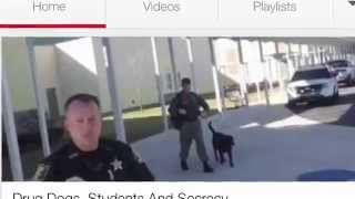 "Legal Jeopardy" (Drug Dog Update)