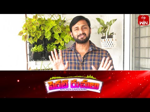 Perati Ruchulu | 4th Apr 2024 | Full Episode | ETV Abhiruchi - ETVABHIRUCHI