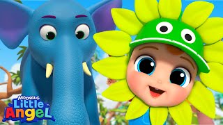 zoo is full animals baby john visits them fun sing along