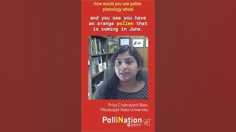 A way to decode pollen entering your colony - a national pollen phenology wheel!