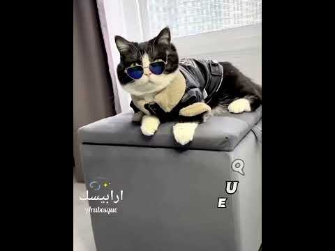 ابعد عني عيونك