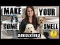 MAKE YOUR HOUSE SMELL AMAZING 17 TIPS | HOW TO MAKE YOUR HOME SMELL GOOD | REMOVING PET ODOR