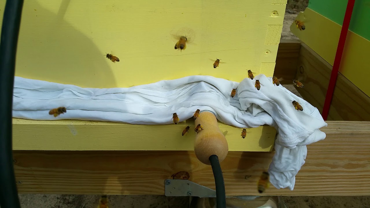 Sugar syrup pH update