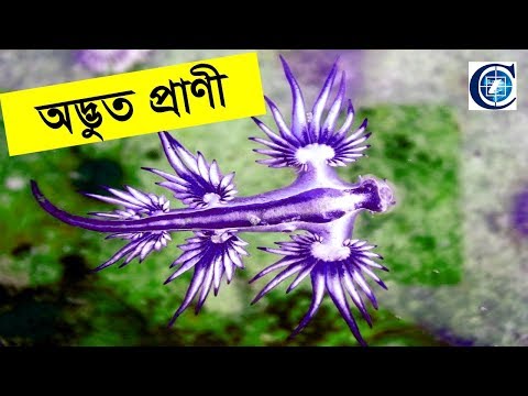 ভিডিও: আন্ডারবাইট সার্জারি কখন প্রয়োজন?