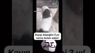 Kayıp Köpeğini 3 Yıl Sonra Bulan Adam