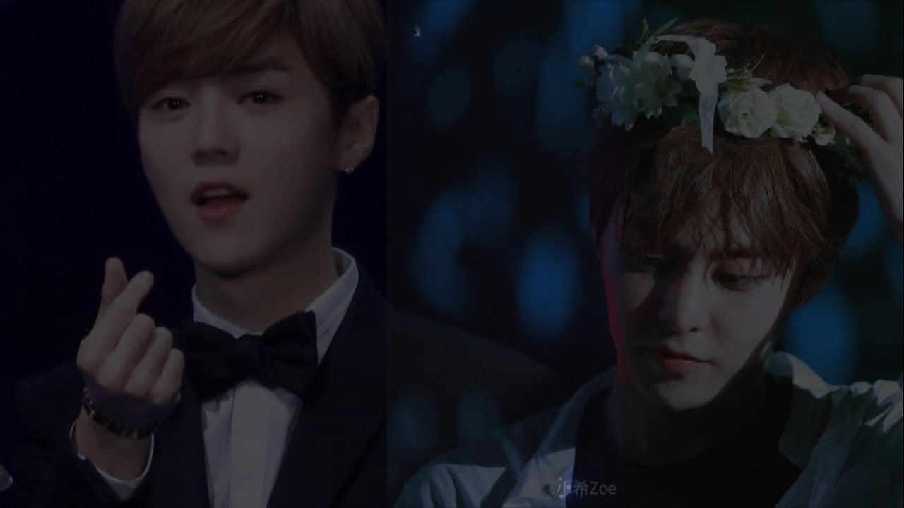 ▼LUMINous《루민 . 鹿包》520 DAY ♡ #XIUHAN #LUMIN  #หว่ออ้ายหนี่LUMIN