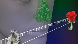 Electronic nose | Wikipedia audio article