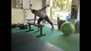 (HOME) Incline Plank Modified S/A Reverse Fly