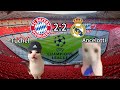 Cat memes football  bayern munich 22 real madrid champions league 2324 semifinal highlights