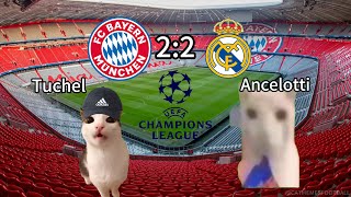 CAT MEMES FOOTBALL - Bayern Munich 2-2 Real Madrid Champions League 23/24 Semi-Final Highlights