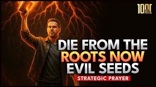Celebrity Die From the Root | Evil Plantimgs and Foundations Permanently Net Worth