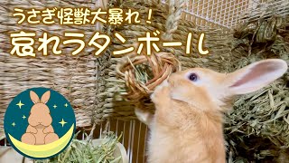 うさぎ怪獣大暴れ！　哀れラタンボール [#34]