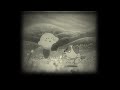 Yellow [Kirby AMV]