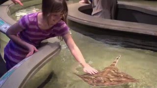 A Look Back: Opening Living Seashore