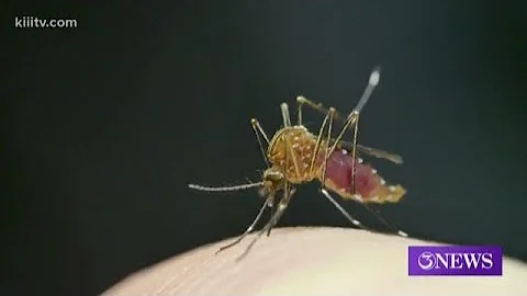 Facts Not Fear: No, the COVID-19 coronavirus is not transmitted by mosquitoes