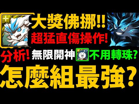 全字幕【阿紅神魔】貓戰大獎佛挪😱『組隊全分析！』🔥直傷能破什麼盾？🔥超爽隊伍👉居然也有缺點？👉專武帶誰？減傷狀態？【漆黑魔女凱斯莉】【天命之王佛挪】【貓咪大戰爭】