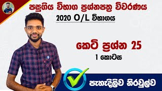 2020 O/L Maths Past Paper Discussion in Sinhala |2020 සාමාන්‍ය පෙළ ගණිතය පසුගිය විභාග ප්‍රශ්න පත්‍රය